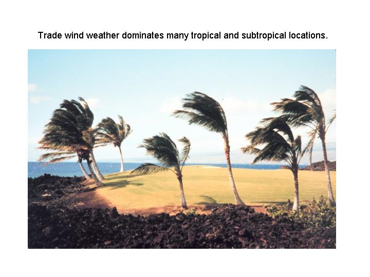 trade wind weather dominates many tropical and subtropical locations(NOAA)